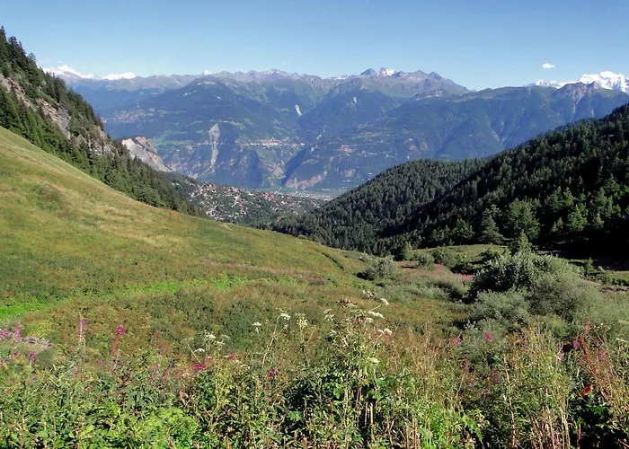 Thermal 3 Pieces Appartement *